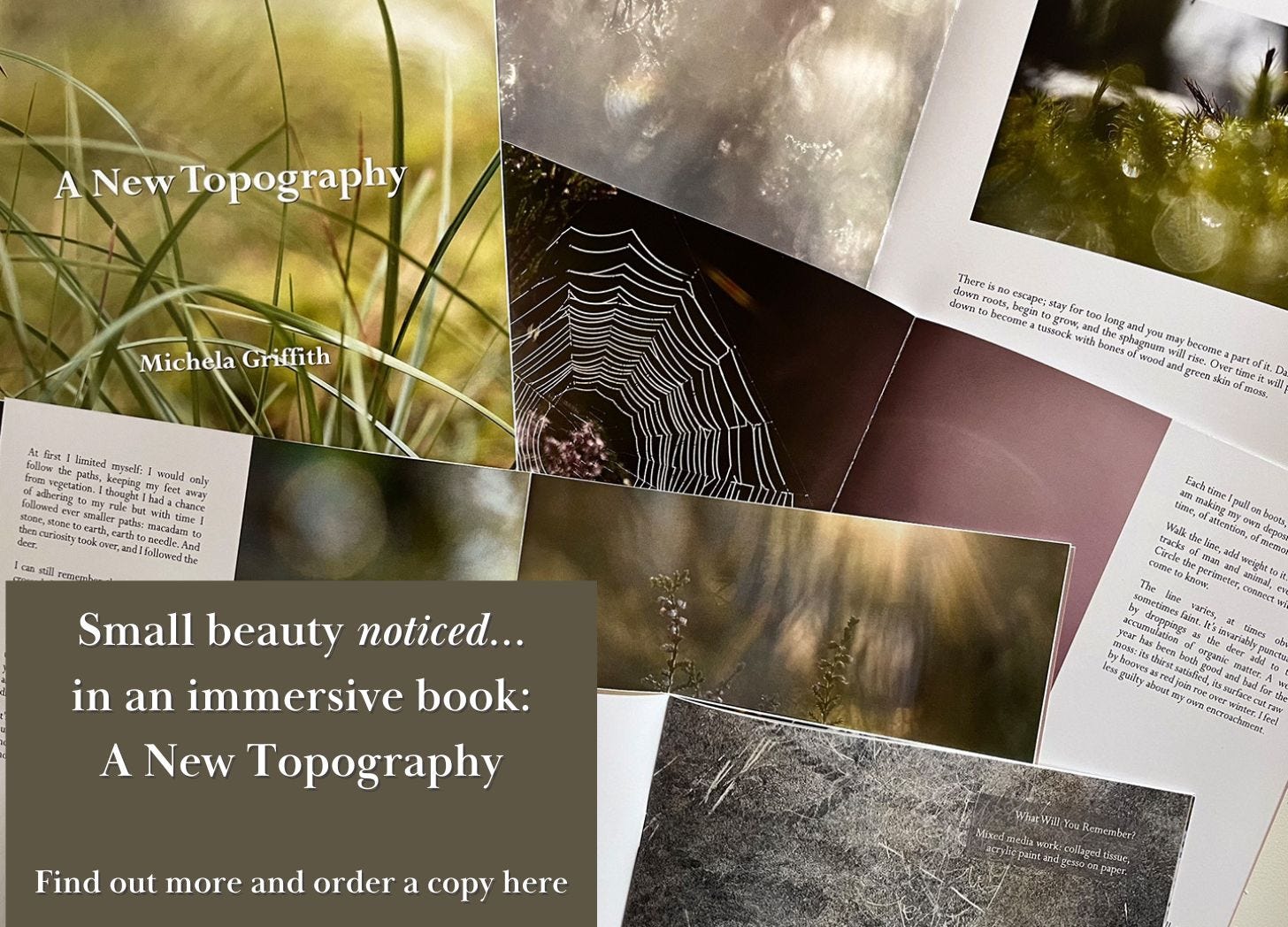 A New Topography, words and images from the moss in a book by Michela Griffith