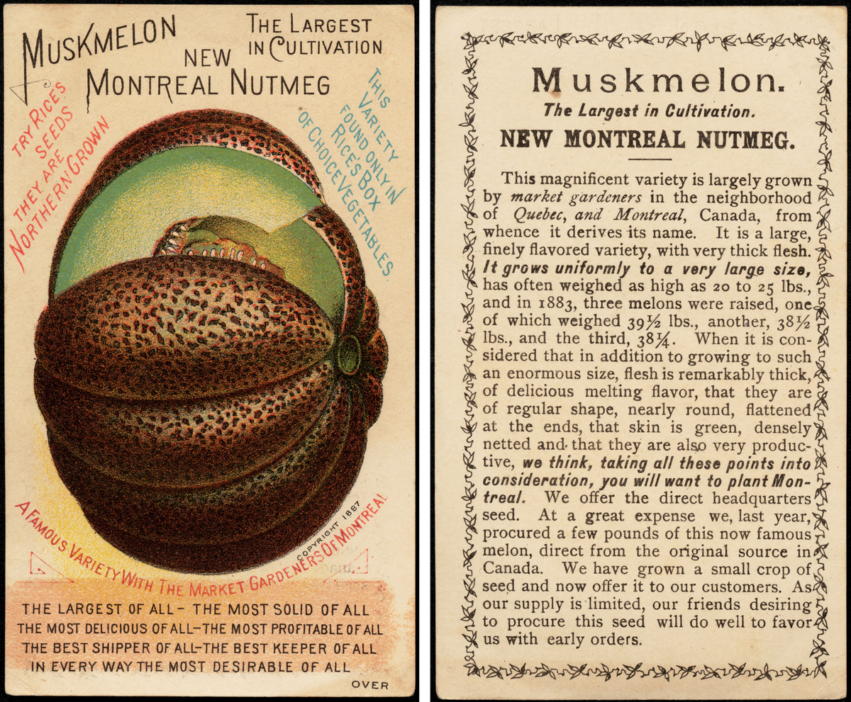 The Montreal melon went by several names and is advertised here, in 1887, as a superior product.