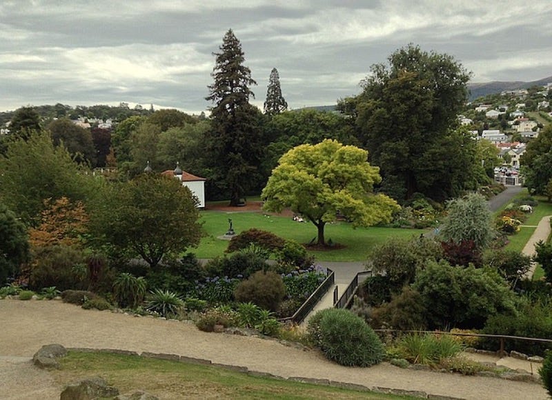 Botanical Gardens, masses of trees and a well-tended lawn