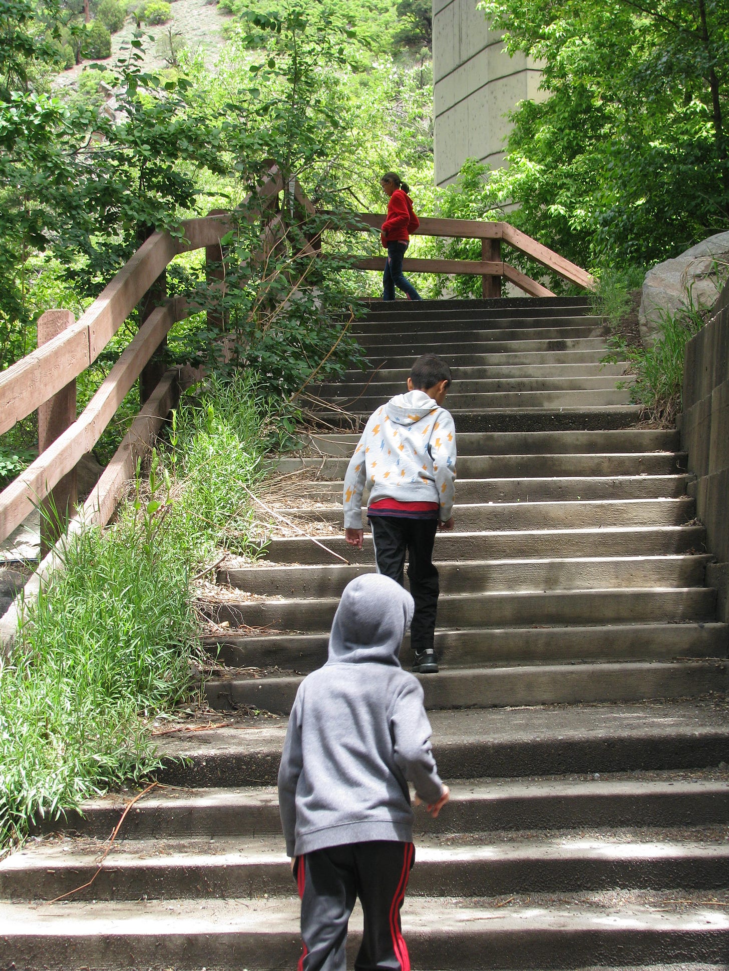 three children climbing stairs in nature