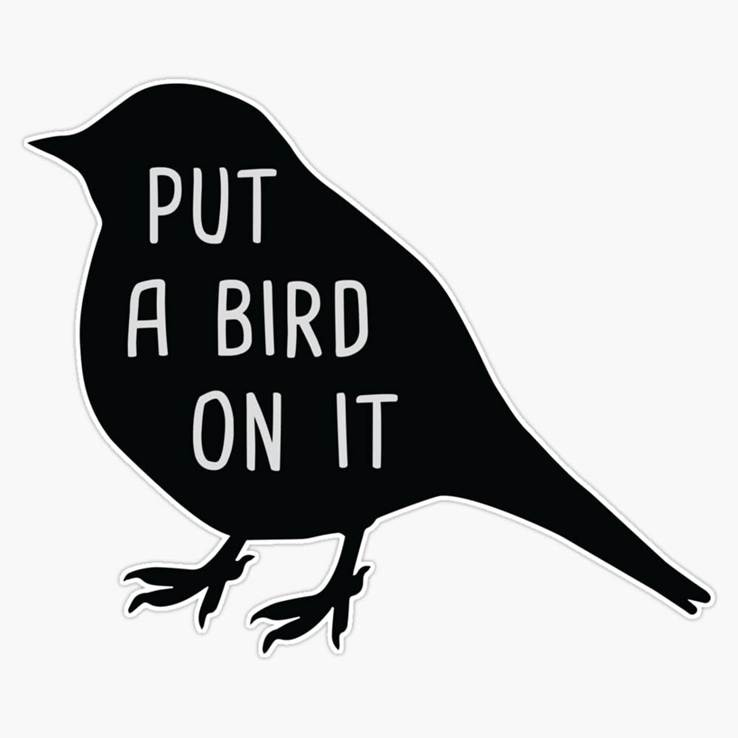 Amazon.com: Put A Bird On It - Black Edition Bumper Sticker Vinyl Decal 5  inches : Automotive