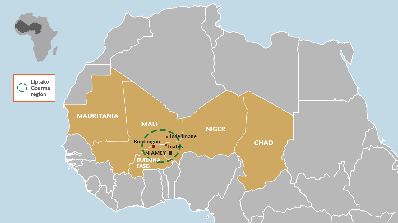 Sahel militaries need better governance to face the ter...
