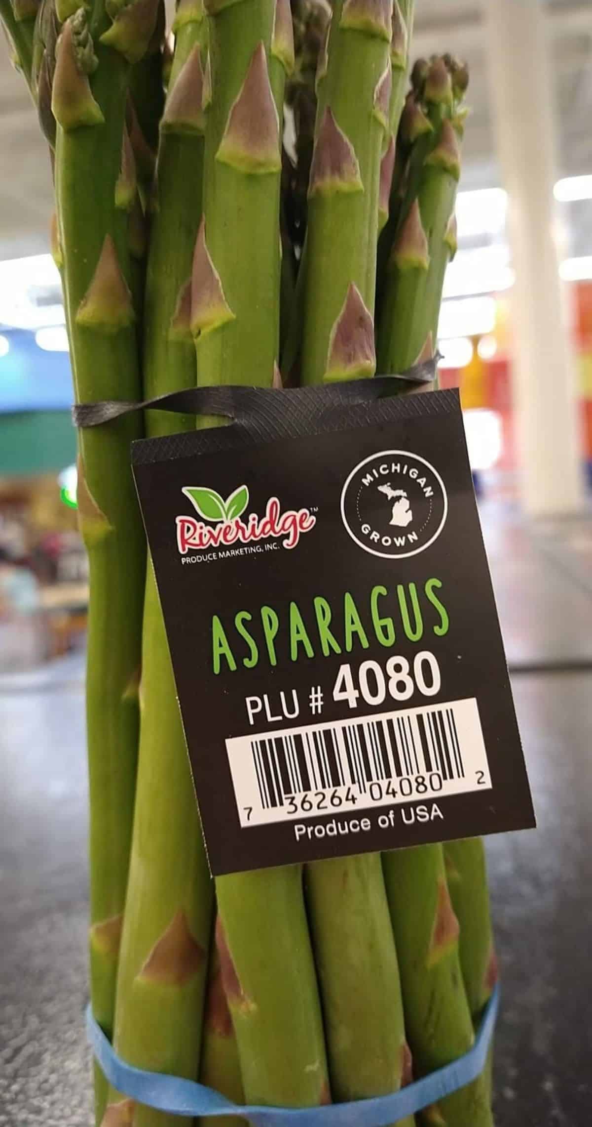 A close up of a bunch of Michigan grown Riveridge Asparagus