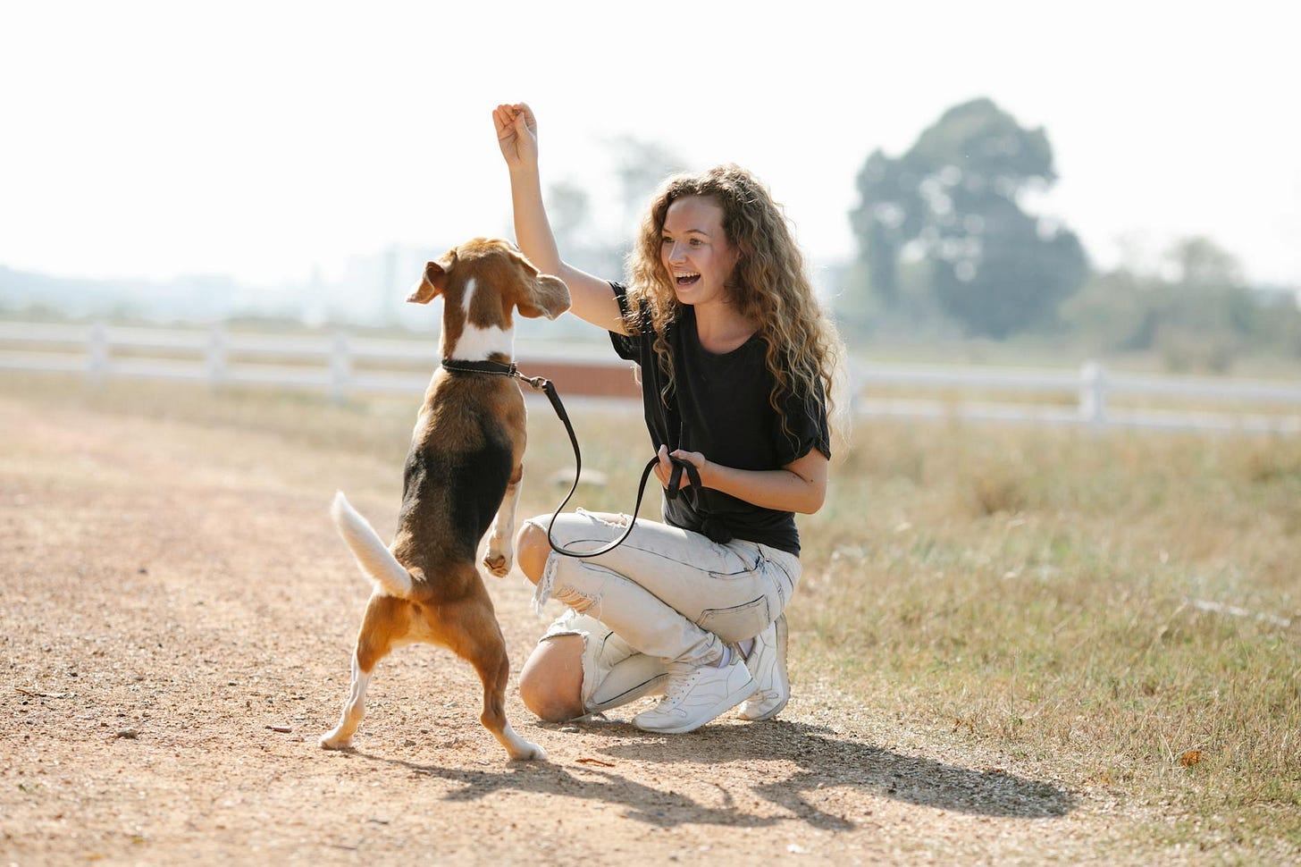 A lady and a happy dog learning reward based training cues