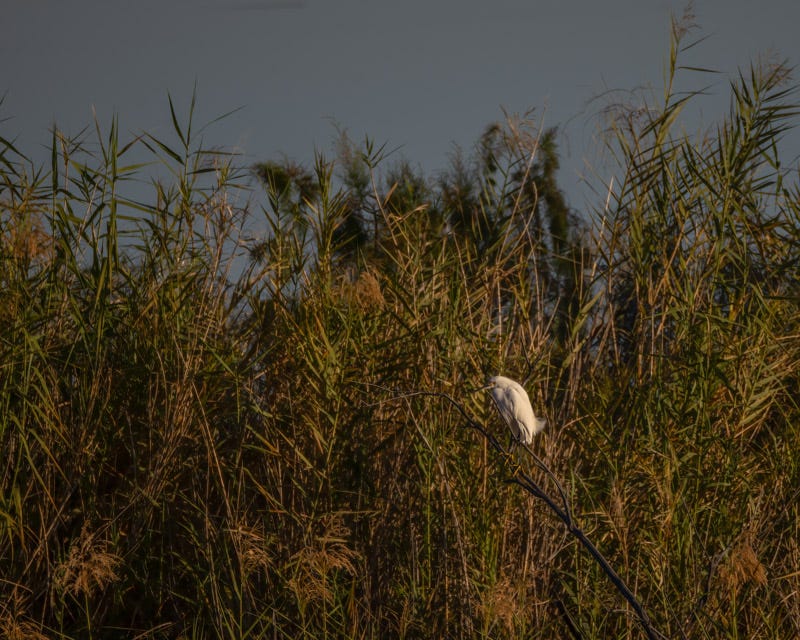 20240218-Yuma-626-Edit.jpg