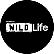 Samsung Wild Life 1400