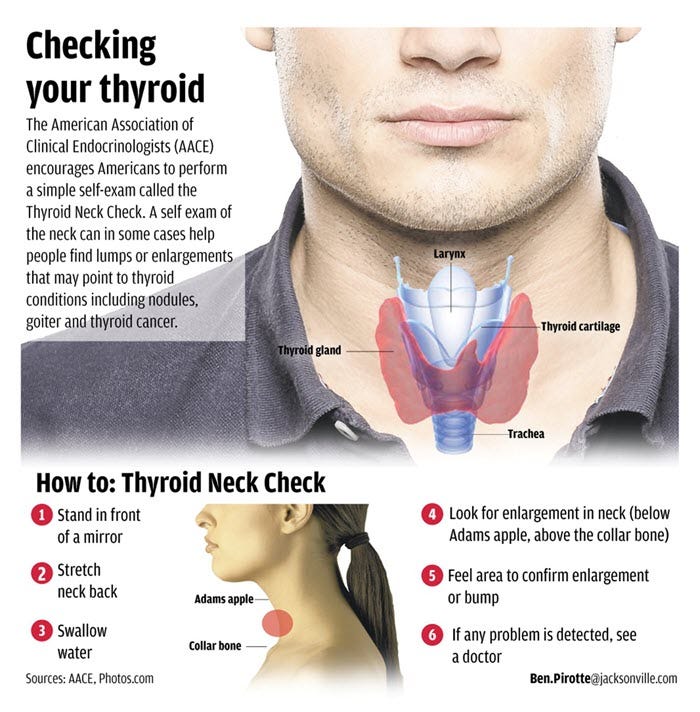 Checking thyroid 