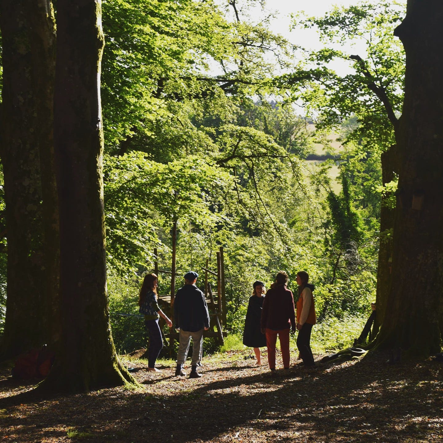 Small group of people singing beneath huge beech trees