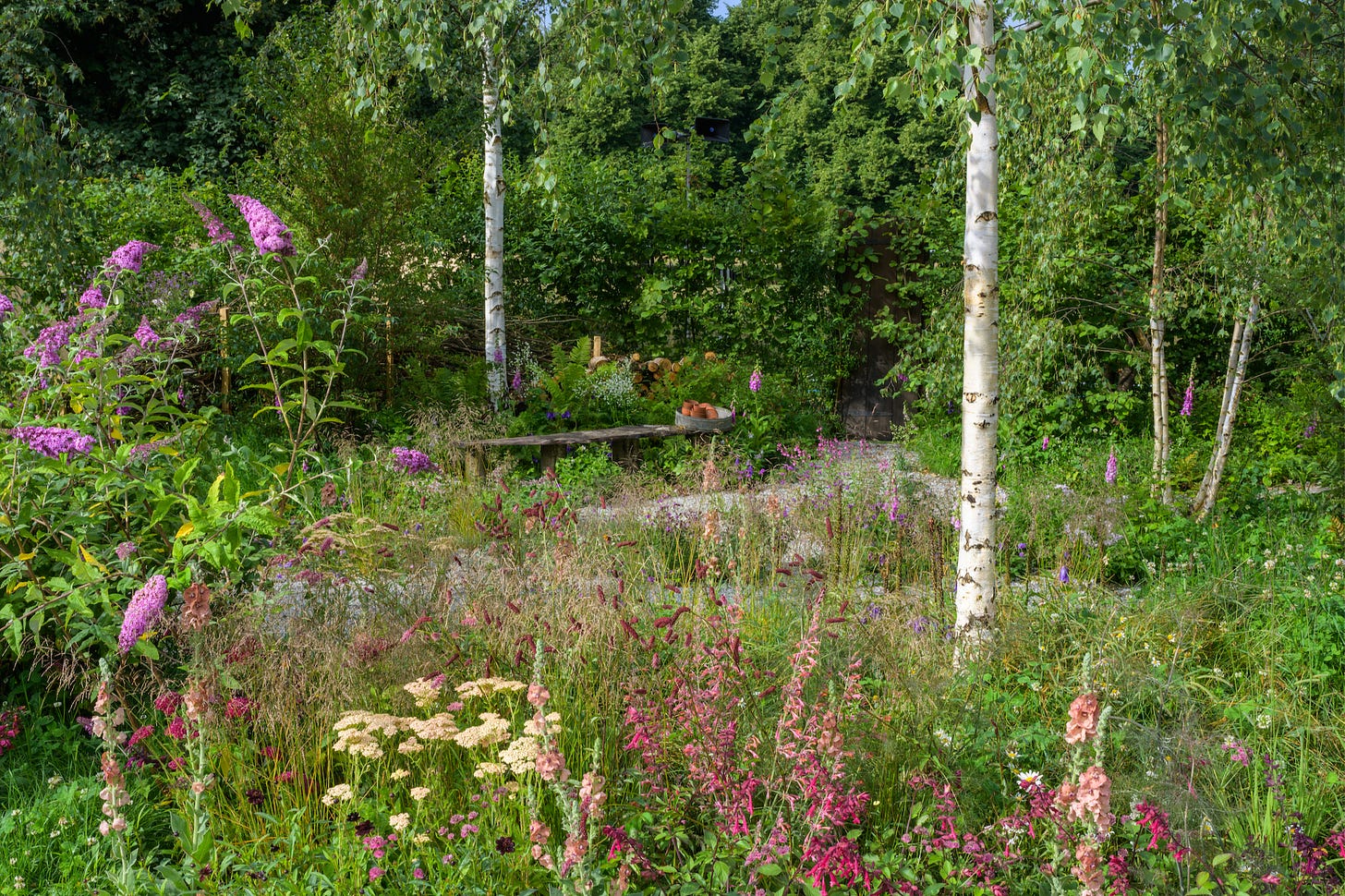 A garden for wildlife with trees and a bench