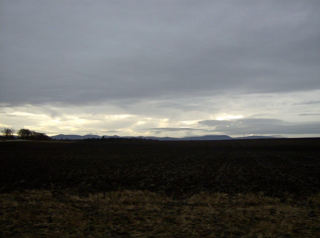 A field with a cloudy sky

Description automatically generated