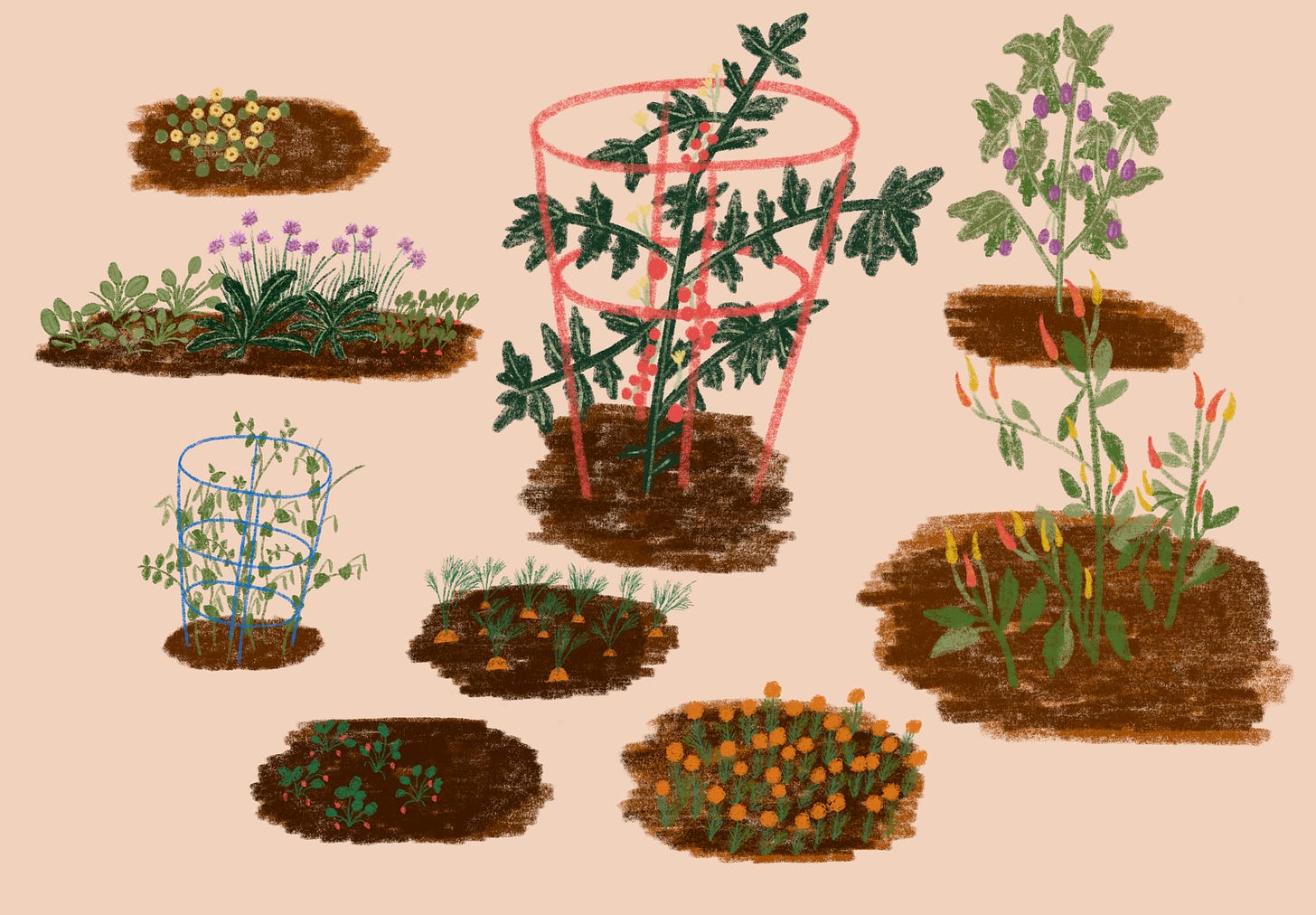 a blooming garden! there are green nasturtiums with yellow flowers, spinach, kale, chives, snap peas, small red strawberries, orange carrots and green carrot tops, orange marigols, red tomatoes in a red tomato helper, red and yellow chilis and small purple eggplants