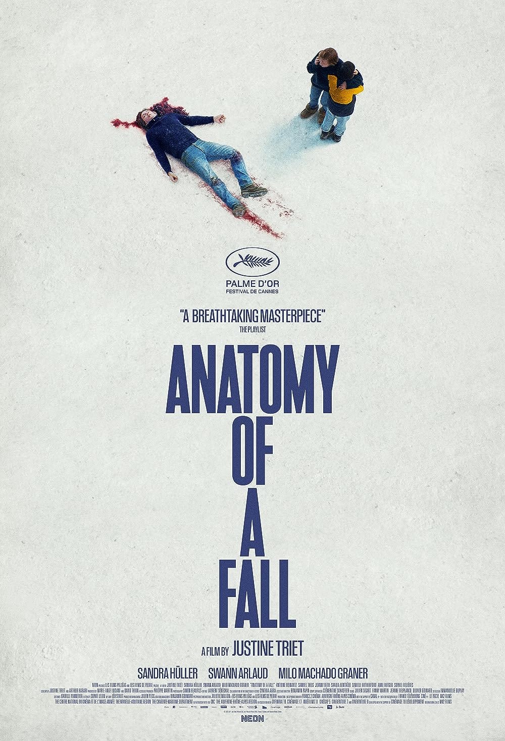 Anatomy of a Fall (2023) - IMDb