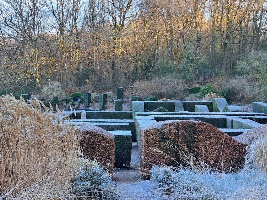 Veddw Garden in the frost copyright Anne Wareham 