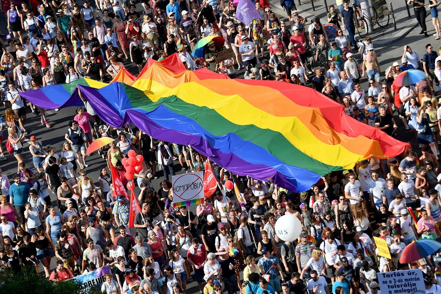 Thousands hit the streets for 'biggest and most diverse' Pride parade celebrating LGBT rights ...