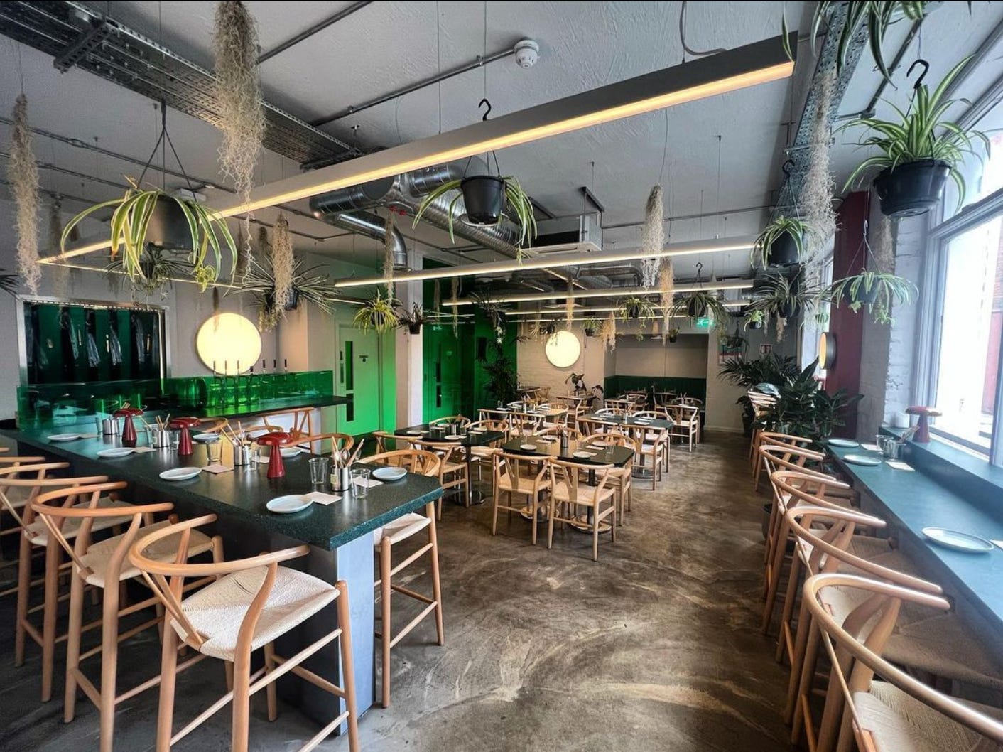 Interior of Lucky Tortoise. Rows of tables with chairs sit under a lush display of hanging flower pots and visible ceiling beams. To the side, stools are tucked under a bar for solo diners. 
