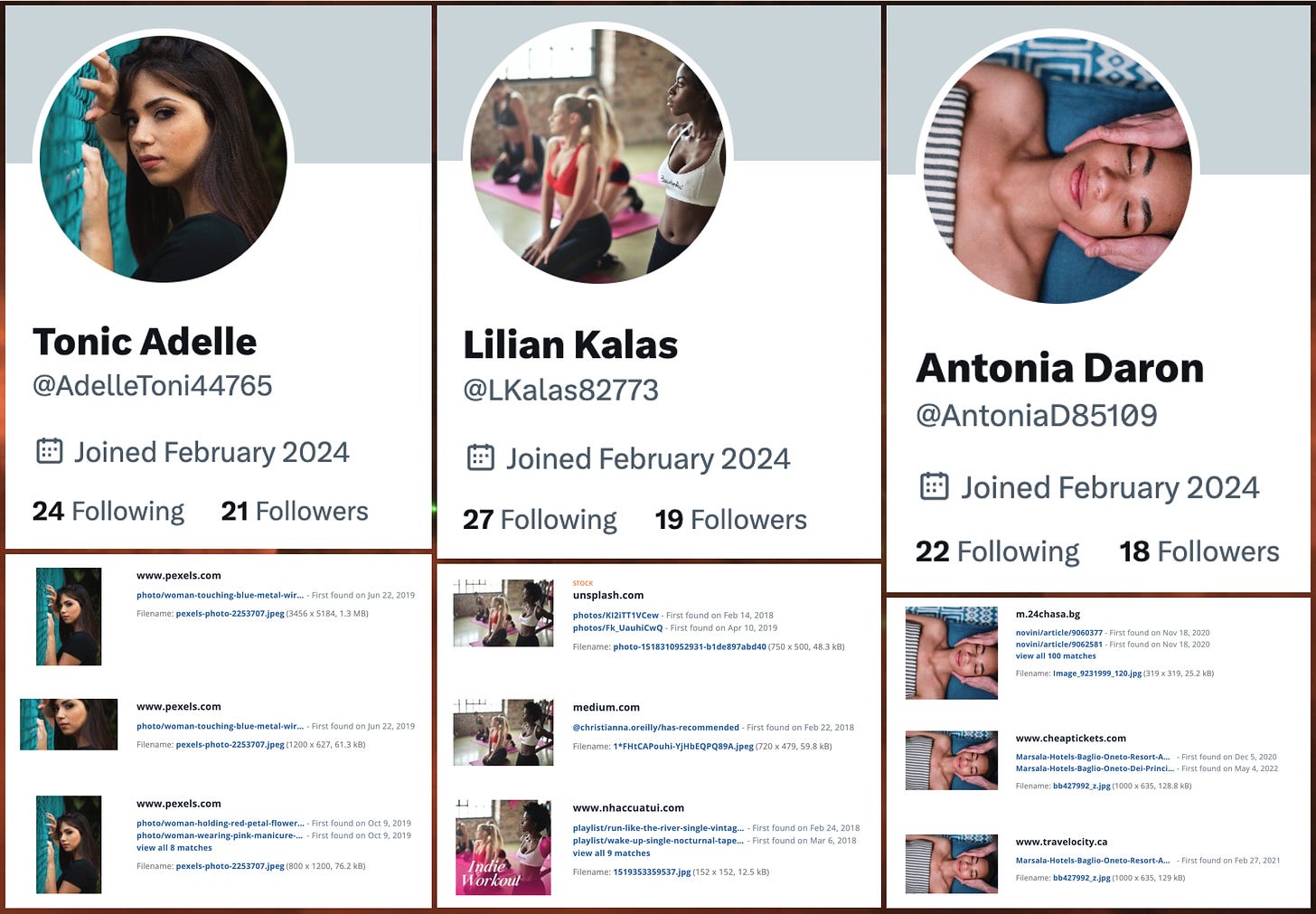 screenshots of the profiles of three of the spam accounts and reverse image searches demonstrating that their profile photos are plagiarized