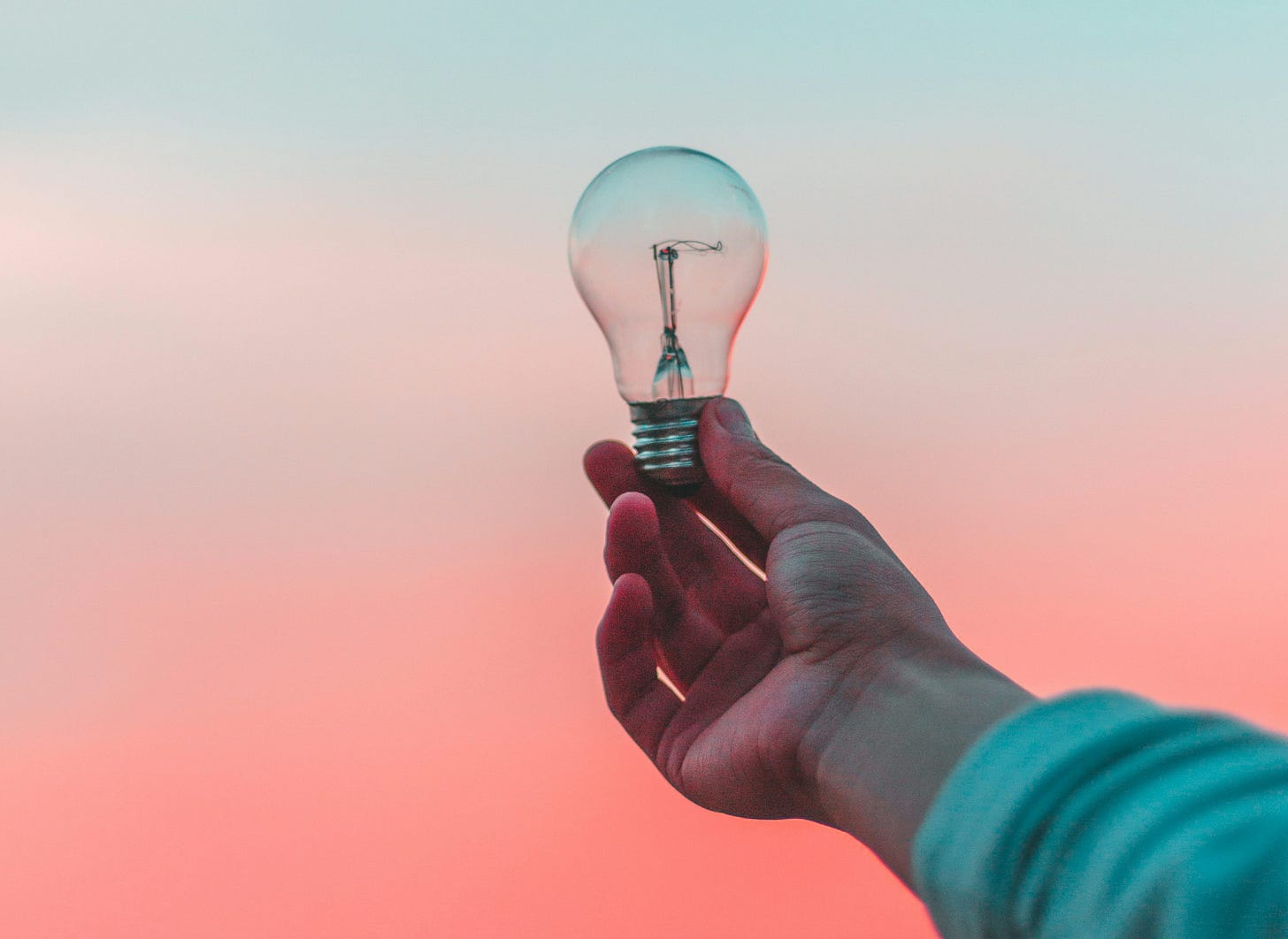 person holding light bulb