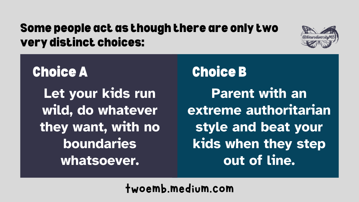 Some people act as though there are only two very distinct choices: Choice A: Let your kids run wild, do whatever they want, with no boundaries whatsoever; Choice B: Parent with an extreme authoritarian style and beat your kids when they step out of line