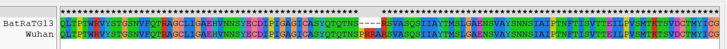 RaTG13 vs Wuhan peptide