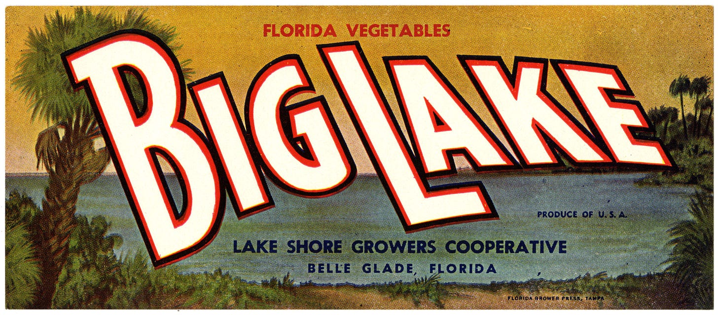 Vegetable label that shows a lakefront scene in front of an orange sky.