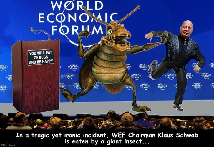 politics klaus schwab eaten by bugs Memes & GIFs - Imgflip