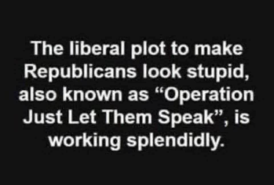 white letters on black backgourn that reads "The liberal plot to make Republicans look stupid, also known as 'Operation Just let them speak' is working splendidly"