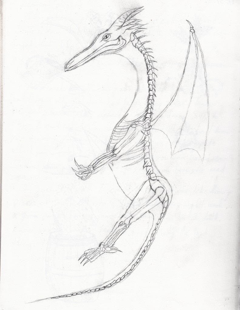 dragon bones, partly based on a cat skeleton in our lab. 