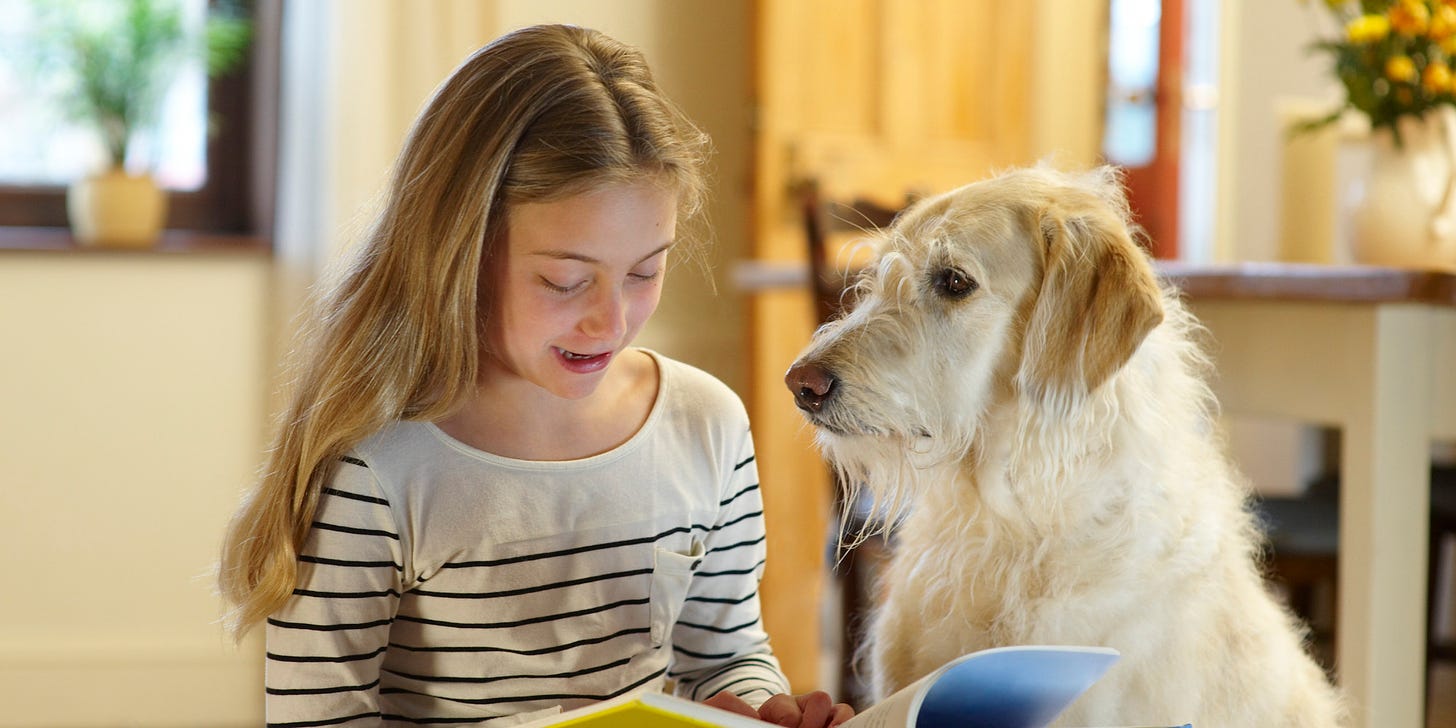 Struggling Students Read To Therapy Dogs, Find Confidence In Judgment-Free Zone | HuffPost