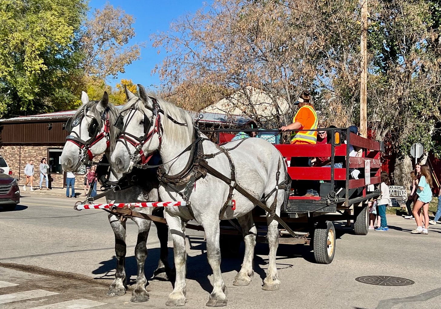 Prairie Percherons gave hayrides