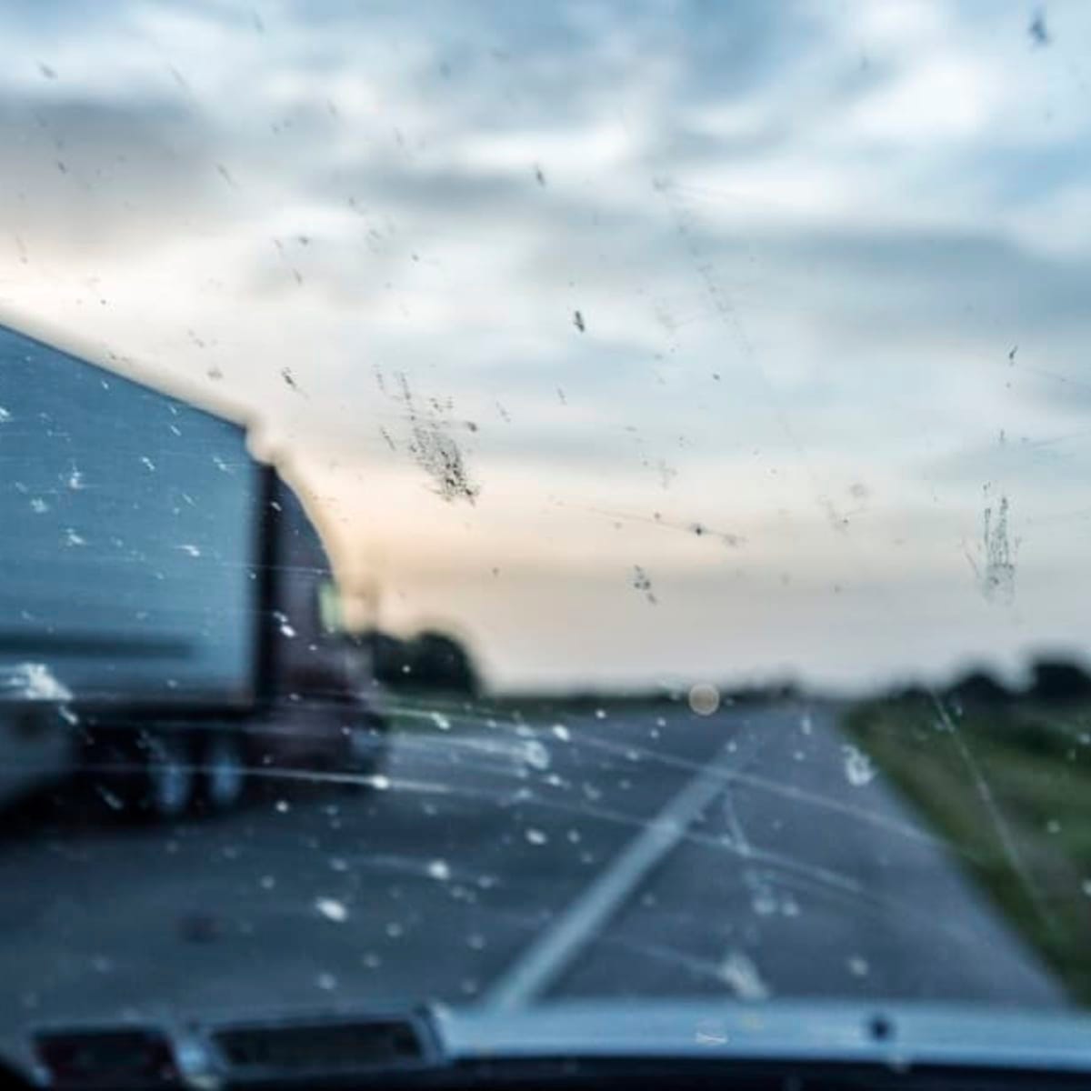 Why You See Fewer Bugs on Windshields | Mental Floss