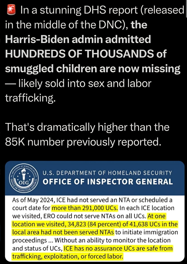 A screenshot from the U.S. Department of Homeland Security Office of Inspector General report highlighting the disappearance of over 291,000 unaccompanied children.