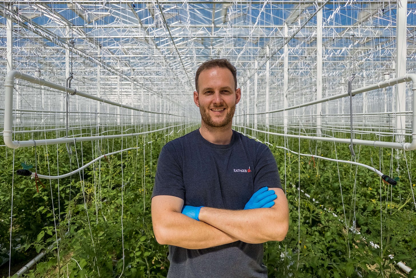 Im weitläufigen, hellen Glashaus eines Biogemüse-Betriebs steht Betriebsleiter Caspar Stucki mit verschränkten Armen und blauen Hygienehandschuhen vor endlosen Reihen junger Tomatenpflanzen. Über und neben ihm verlaufen filigrane Stahlträger, Drähte und Bewässerungsleitungen, die sich perspektivisch in die Tiefe des Gewächshauses ziehen. Im weitläufigen, hellen Glashaus eines Biogemüse-Betriebs steht Betriebsleiter Caspar Stucki mit verschränkten Armen und blauen Hygienehandschuhen vor endlosen Reihen junger Tomatenpflanzen. Über und neben ihm verlaufen filigrane Stahlträger, Drähte und Bewässerungsleitungen, die sich perspektivisch in die Tiefe des Gewächshauses ziehen.