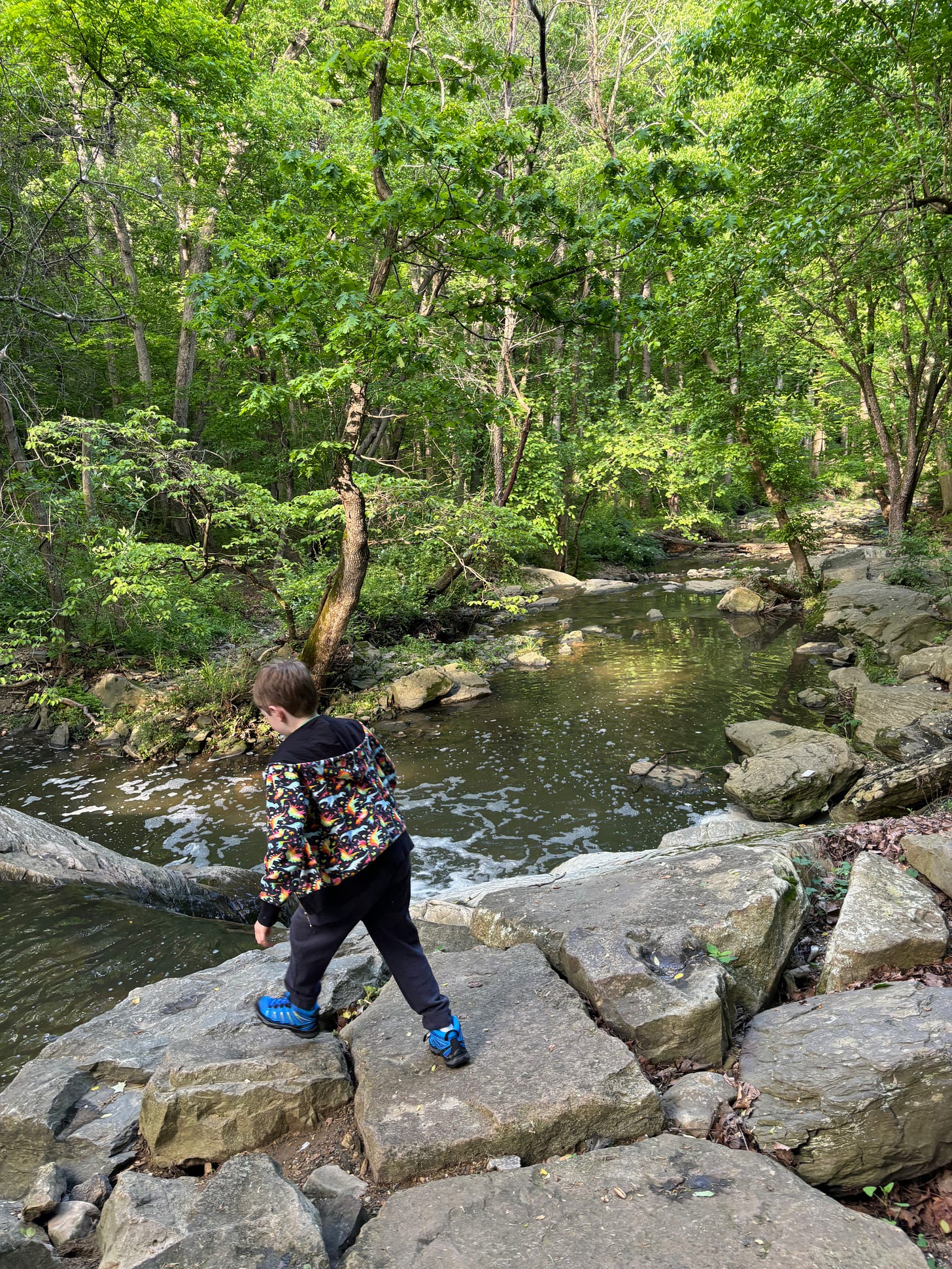 My younger son in a rainbow dinosaur sweatershirt standing on rocks next to a stream