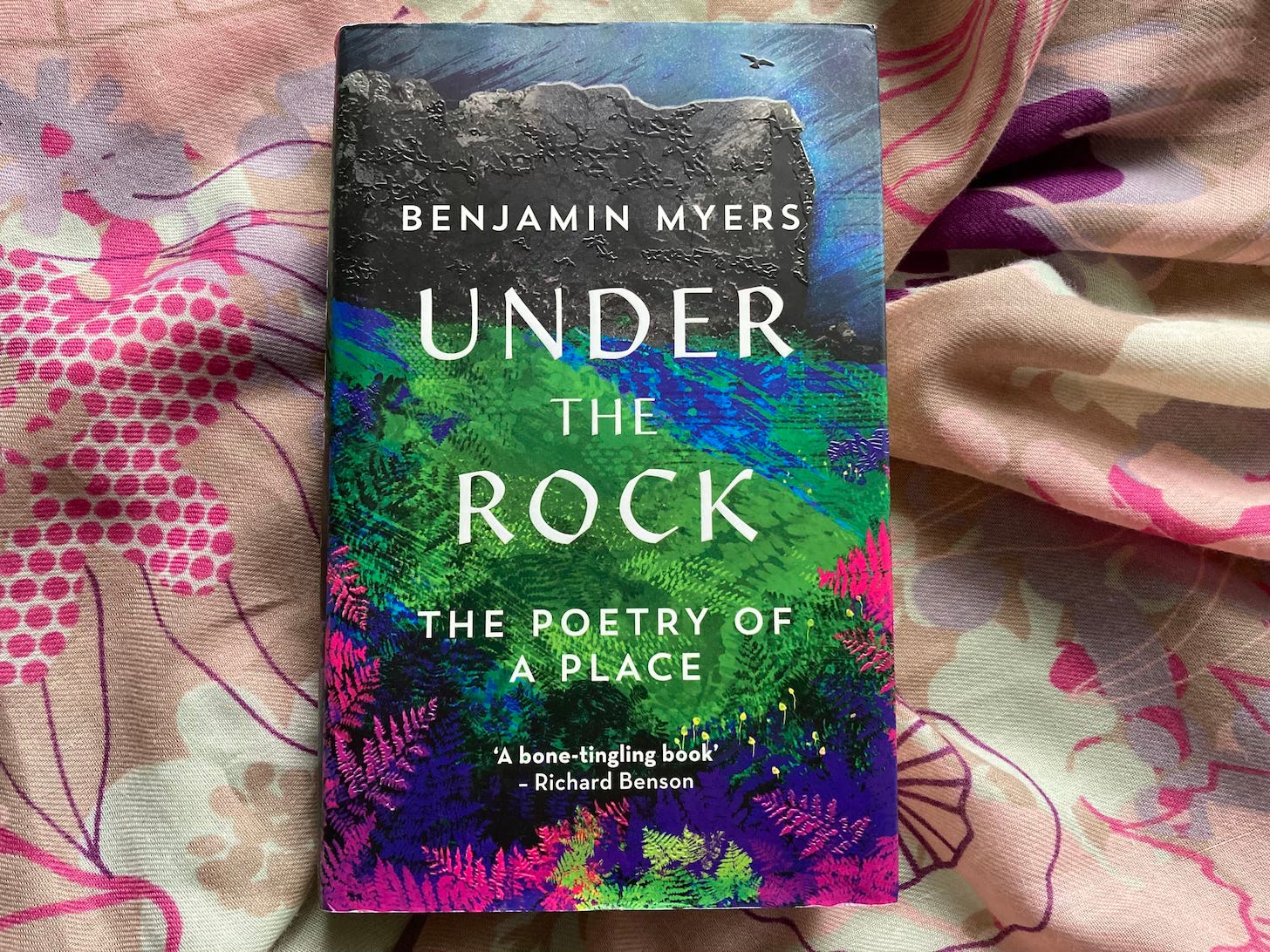 Colourful book cover of Under the Rock by Benjamin Myers
