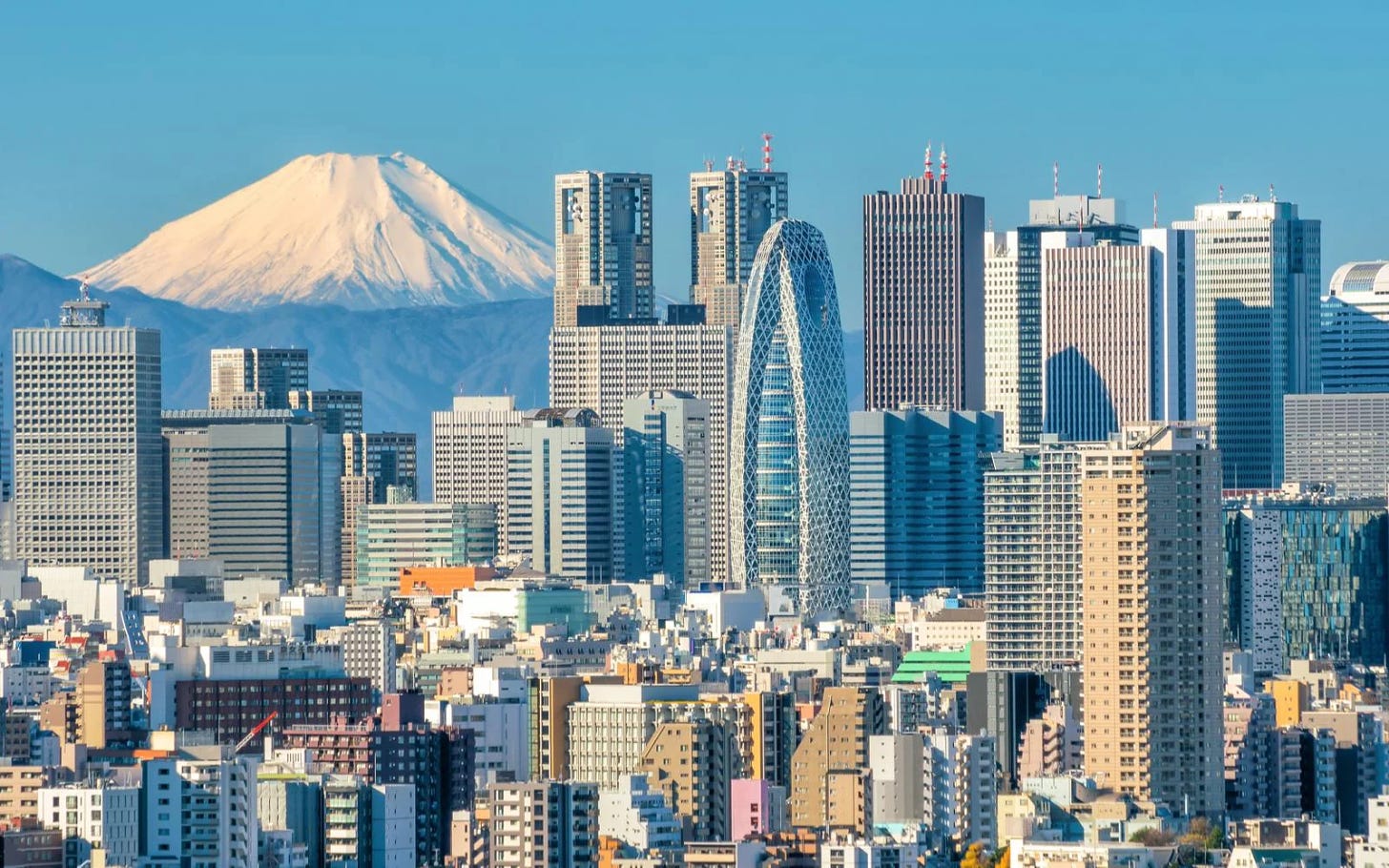 The Best Time to Visit Tokyo in 2023 | Travellers 🧳