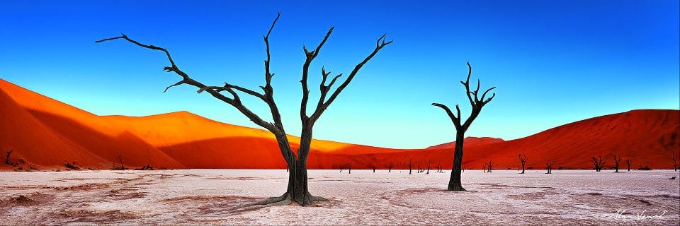 Faded Fantasy, Deadvlei, Namibia Landscape Image