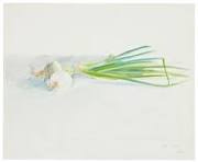 Onions (1972) - David Hockney | Artory Digital Registry