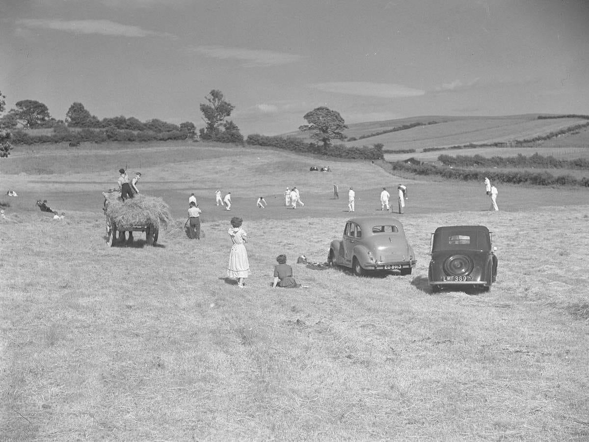 Cricket in the Hayfield