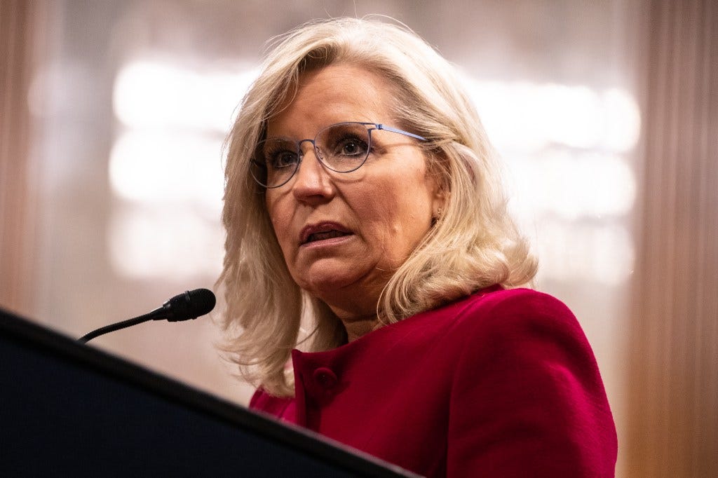 Liz Cheney speaks after being presented with the Paul H. Douglas Award for Ethics in Government on June 13, 2023 in Washington, DC.