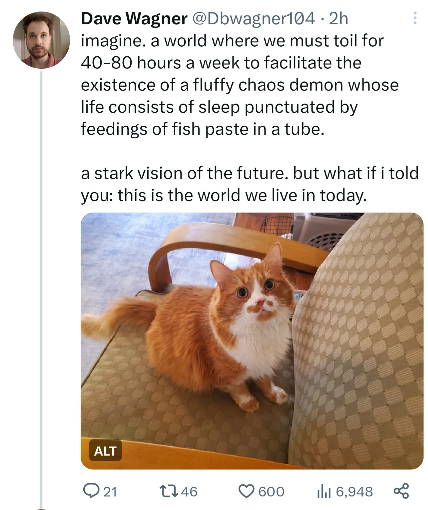 A tweet by @dbwagner104: imagine. a world where we must toil for 40-80 hours a week to facilitate the existence of a fluffy chaos demon whose life consists of sleep punctuated by feedings of fish paste in a tube. a stark vision of the future. but what if I told you: this is hte world we live in today. Under the tweet is an orange and white cat looking up at the camera.