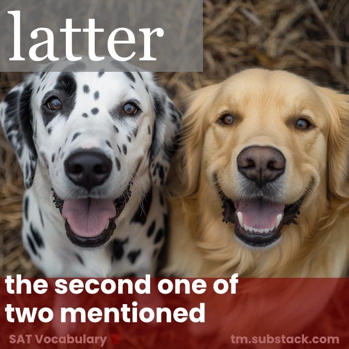 Two dogs, a Dalmatian and a Golden Retriever, with the Golden Retriever being the latter; used to illustrate the SAT vocabulary word LATTER.