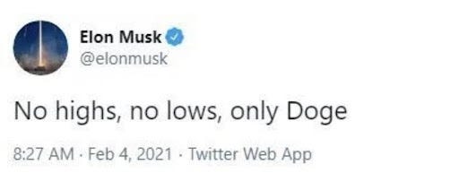 Best Bullish Bitcoin Tweets from Elon Musk