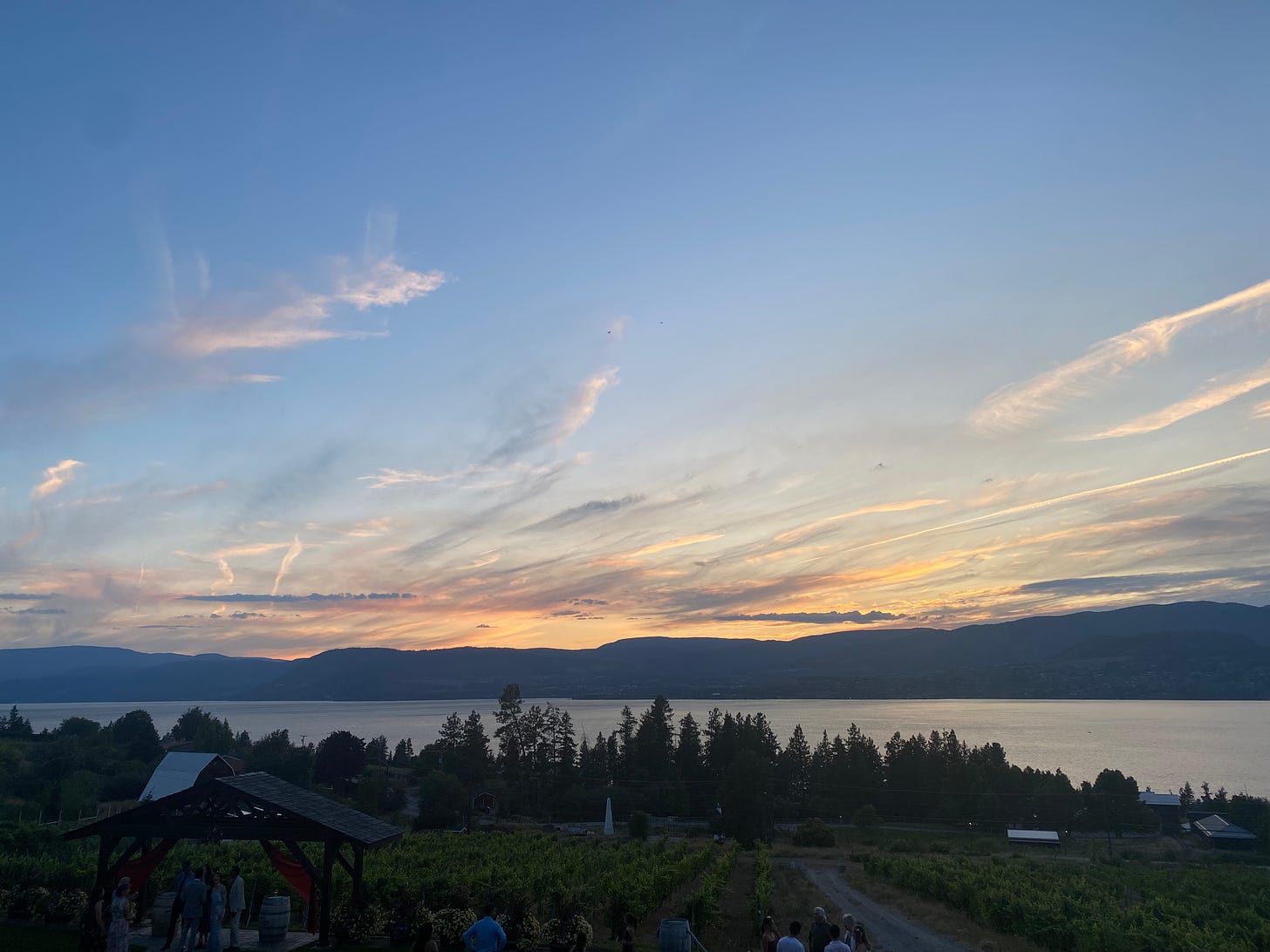 A sunset view of Okanagan Lake, from a winery in Kelowna. Low mountains are deep blue on the horizon, and above them wisps of cloud in the sky look orange, pink, and white. In the foreground, on the near side of the lake, is a vineyard with a dirt road on the right hand side. Trees line the lake behind the grapevines.