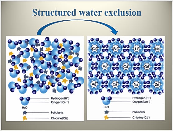 EZ Water: The Fourth Phase Of Water (Part 3) - Live Vitae