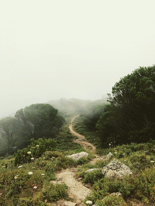 A pathway in the mountains