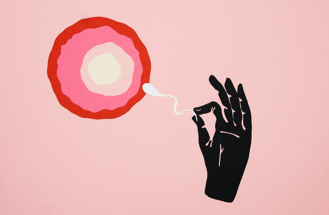 Free An Illustration of a Hand Holding a Sperm Stock Photo Free An Illustration of a Hand Holding a Sperm Stock Photo