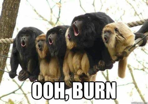 A meme showing 6 monkeys, all with their mouths open. Text at the bottom says Ooh, burn