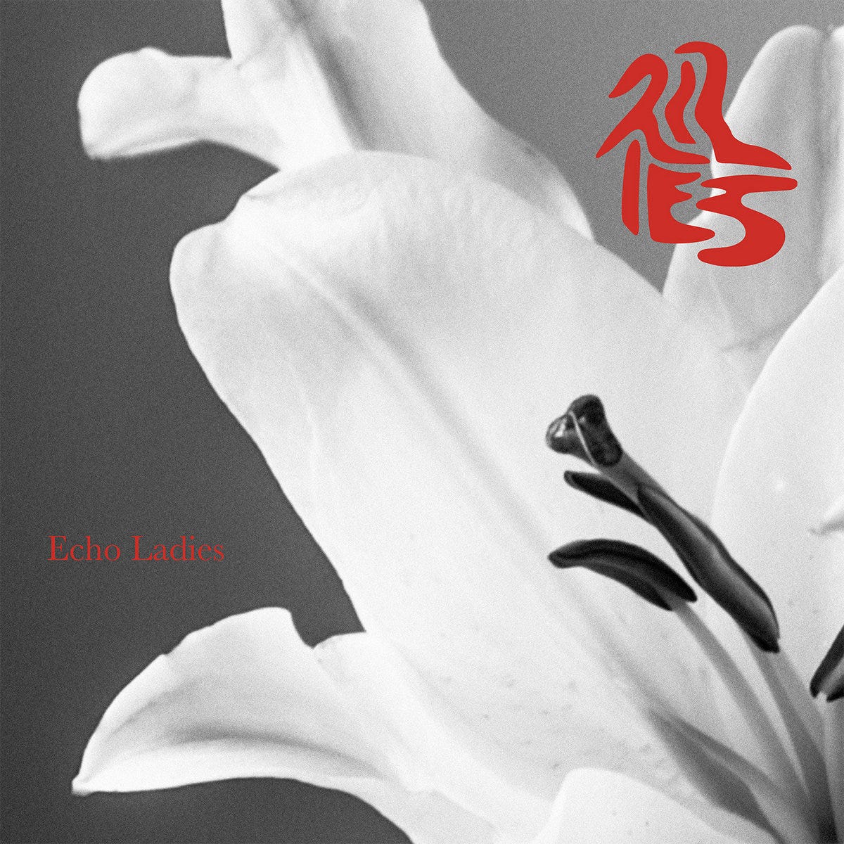 Echo Ladies - Lilies