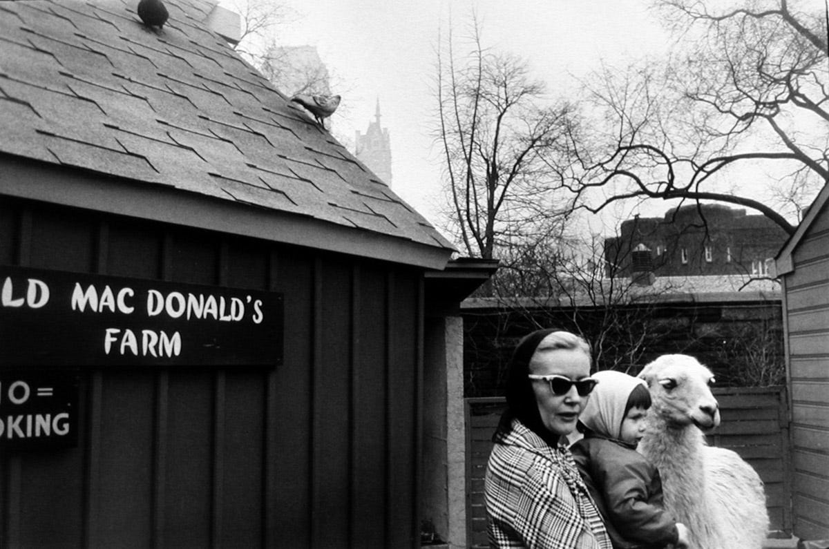 Image result for garry winogrand the animals
