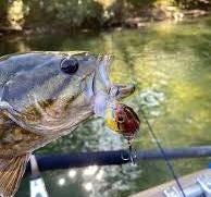 Lake's Edge Lures